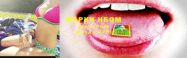 прущие грибы Алексин
