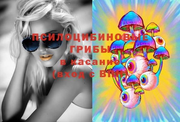 прущие грибы Алексин