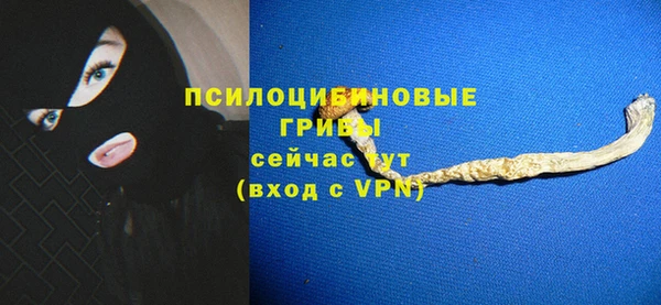 МДПВ Алзамай