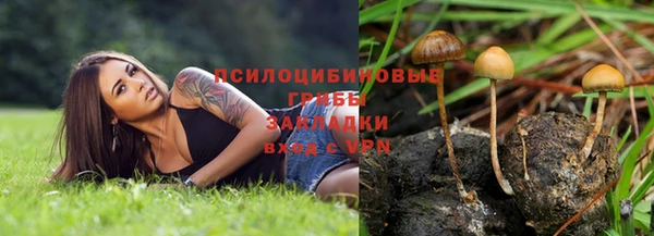ECSTASY Алексеевка